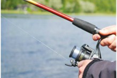 Fishing Section